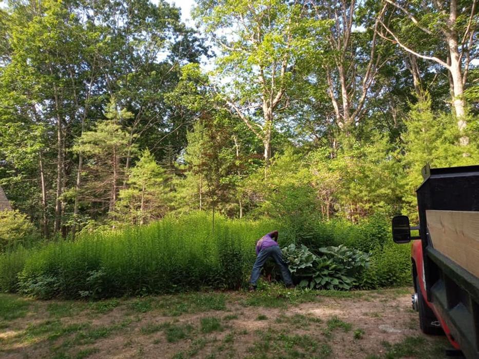 Greens Four Season Lawn Care – photo 2 of 3