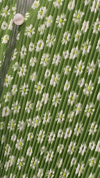 Photo n°8 de Kiabi à Serris (Magasin de vêtements pour femmes)