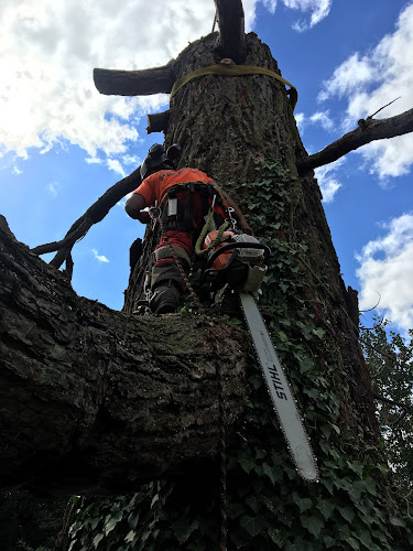 Kenny Stephenson Tree Care & Garden Services