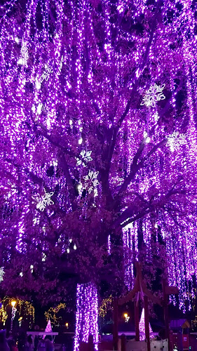 Palatul Copiilor Constanța