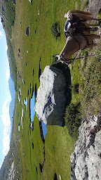 Photo n°5 de Ferme équestre le Ranch Bastelica à Bastelica (Centre de randonnée équestre)