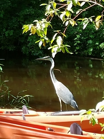 Mitchell Creek Inn by null