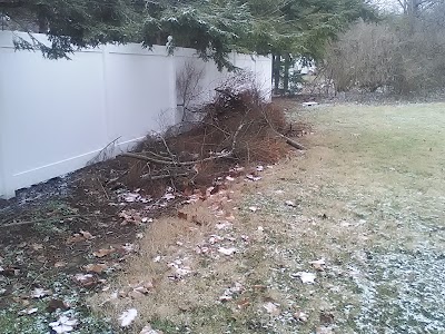 Photos of Paul's Exterminating Inc.