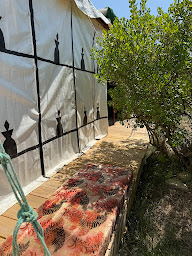 Photo n°9 de Camping** Animal King (ex les misottes) à Esnandes (Terrain de camping)