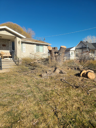 S&S Tree Service LLC
