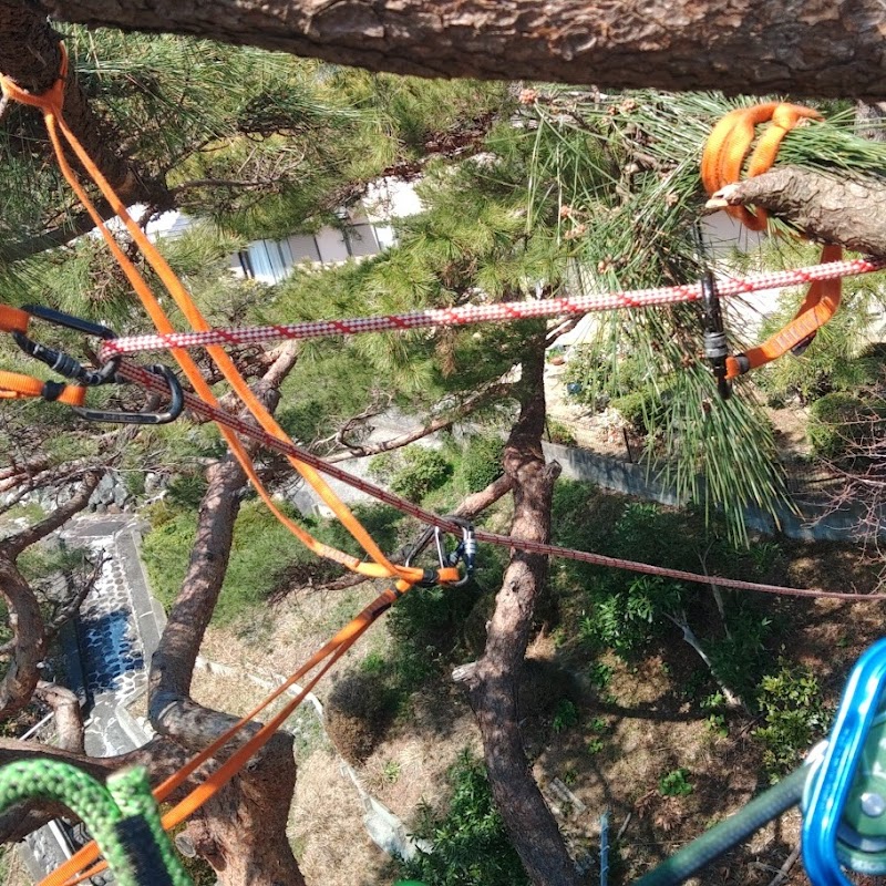 ダイレイ造園®️ 大鈴造園®️