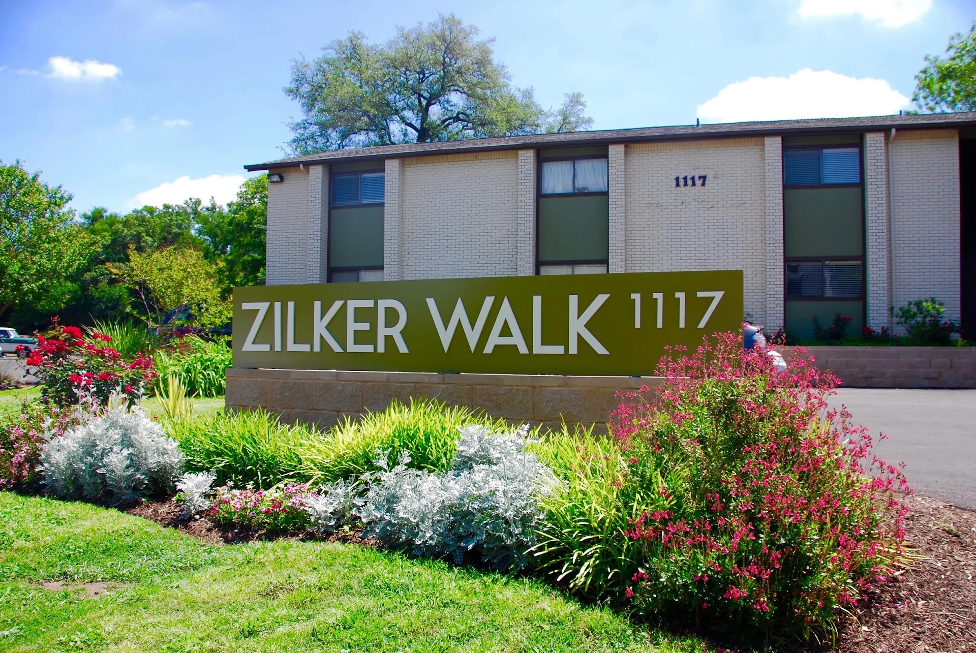 Zilker Walk
