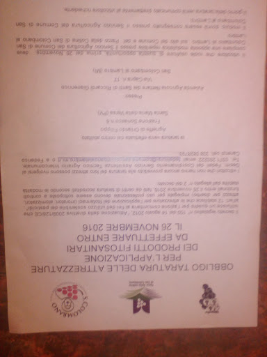 Pavia Food Shop Snc di Razzini Eleonora e C. - Thumbnail