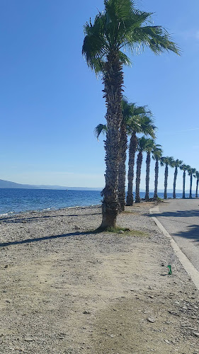 Μαριάνα Θερινό Cinema