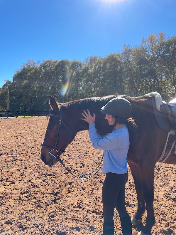 Legacy Oaks Farm photo