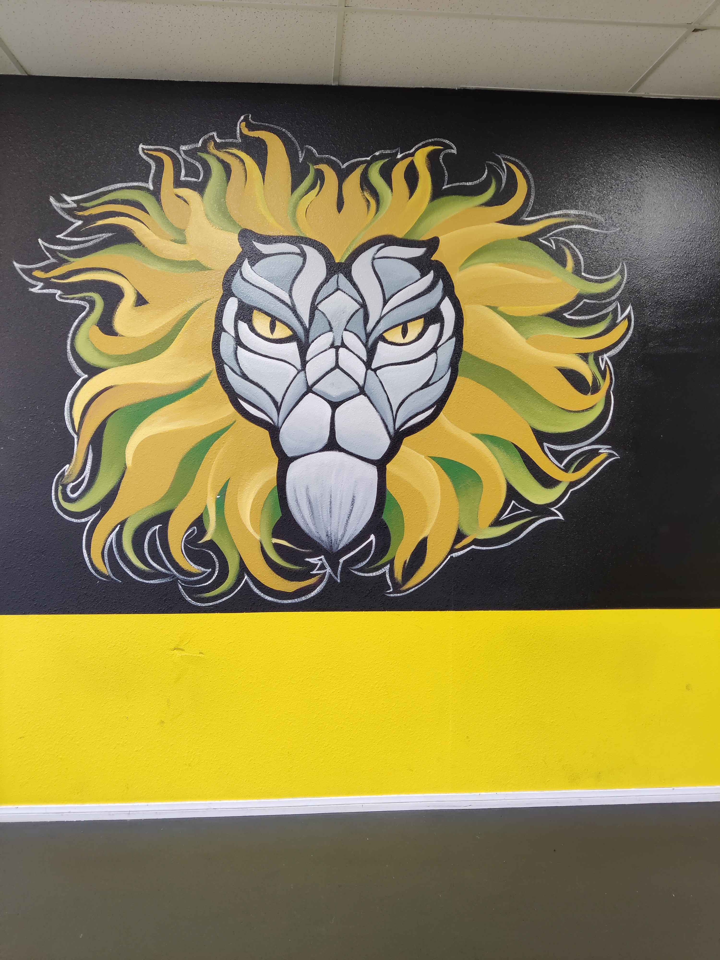 TRIFECTA Fitness photo 5