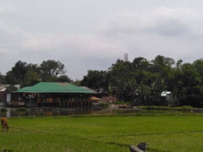 Photos of কাজল মৎস হেচারি