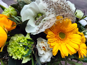 Photo n°22 de Aux Camélias 2 à Besançon (Fleuriste)