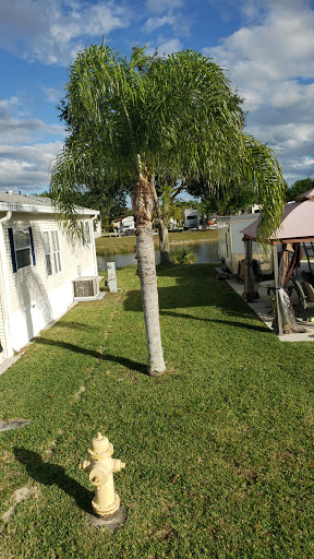 paradise point resort