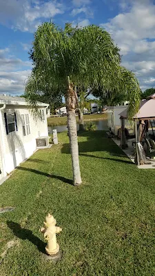 paradise point resort