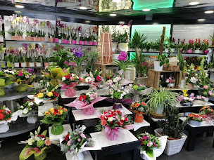 Photo n°4 de Ver'tiges Laval Est à Bonchamp-lès-Laval (Service de plantes d'intérieur)