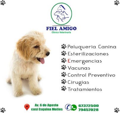 Veterinaria Fiel Amigo, Author: OM MARKETING BOLIVIA