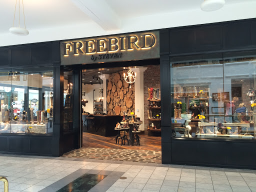 Freebird - Visual