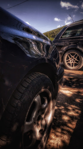 Иво-Брезник, части и масла - Брезник