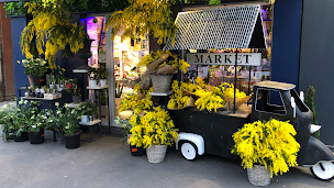 Photo n°12 de Fleurs et style à Meyzieu (Fleuriste)