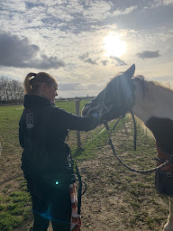 Photo n°1 de Dentiste equin Emmeline Hamel à Grandvilliers (Dentiste)