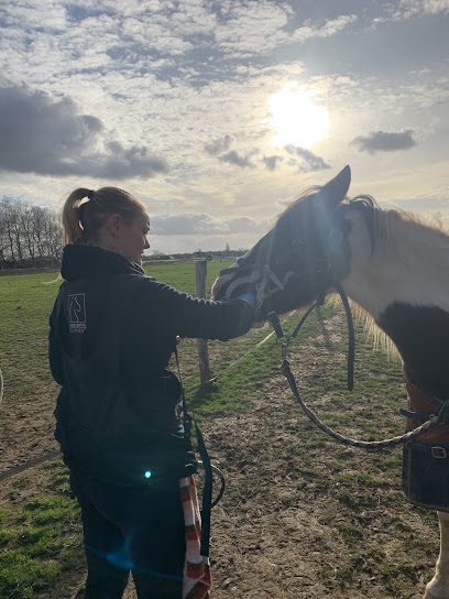 Dentiste equin Emmeline Hamel