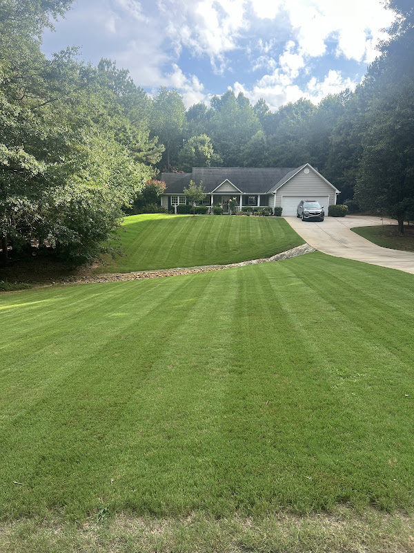 Ultimate Landscaping Group LLC photo