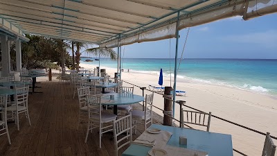 Photos of Mango's