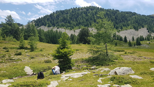 Parking la forestière col bas - Thumbnail