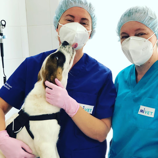 Clínica Veterinaria La Caleta | MiVet