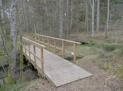 Photos of Odal&auml;tsi loodusrada