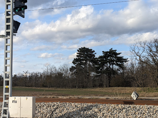 Bahnhof Schönfeld-Lassee - Thumbnail
