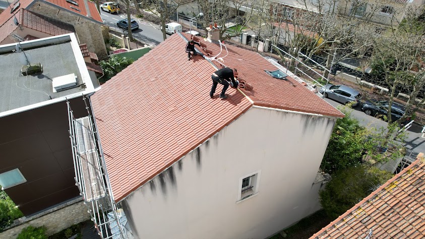 Couverture - Versaillaise