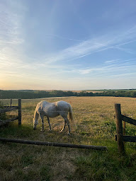 Photo n°22 de Haras de Pévy à Pévy (Gîte)