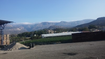 Photos of E-fidancim