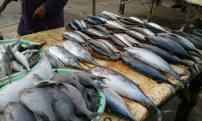 Photos of Pasar Ikan