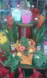 Photo n°31 de Tabac-Presse L'égrisellois à Égriselles-le-Bocage (Marchand de journaux)