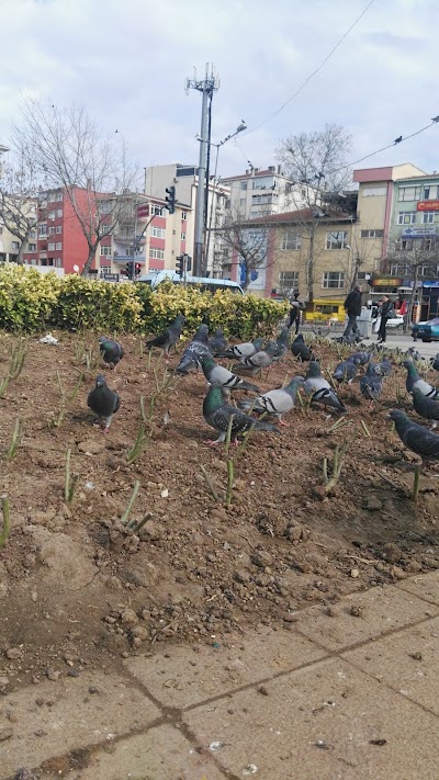 Photos of Kartal Meydan