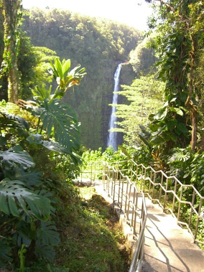 Volcano Forest Inn