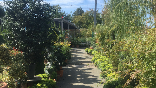 Opinii despre Les Serres Caladoises în Villefranche-sur-Saône - Paysagiste