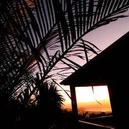 Photo n°34 de Le Z'oiseau Vert - Locations de Vacances à L'Étang-Salé (Agence de location de maisons de vacances)