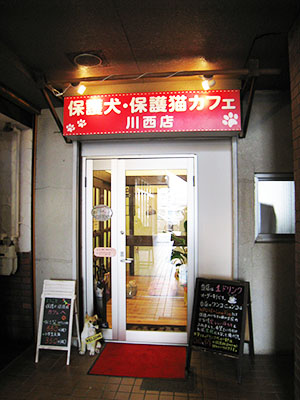 保護犬保護猫カフェ 川西店