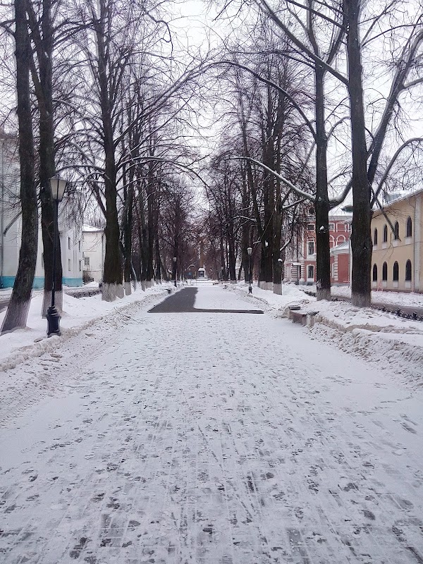 Пл Челюскинцев Ярославль. Челюскинцев 8 Ярославль. Ярославль площадь Челюскинцев 7а. Ярославская семинария.