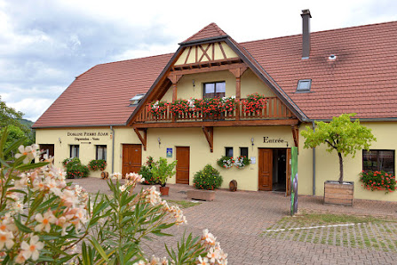 Domaine Pierre Adam | Vins d'Alsace - Ammerschwihr