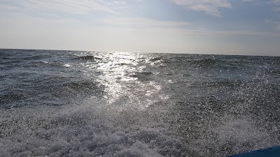 Photos of Pun&aacute; Island