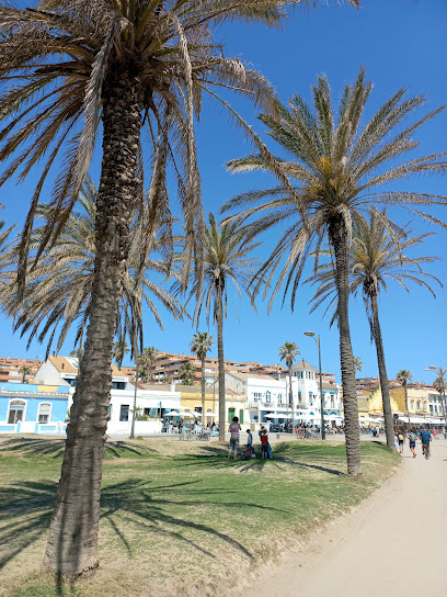 Rondje Valencia Fietstours