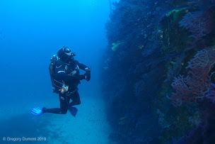 Photo n°38 de Aqualonde Plongée à La Londe-les-Maures (Moniteur de plongée)