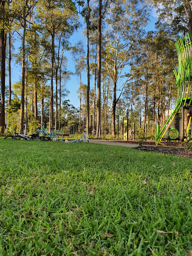 Sippy Downs Forest Park - Thumbnail