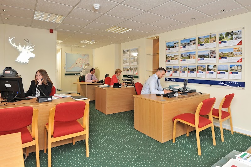 Stags Estate Agents Torquay photo 2