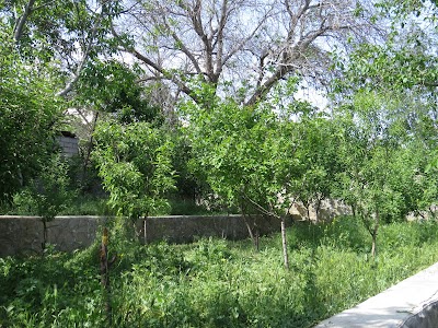 Photos of شهمیرزاد بهشت ایران